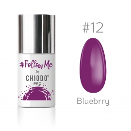Follow Me by ChiodoPRO nr 12 - Blueberry 6 ml